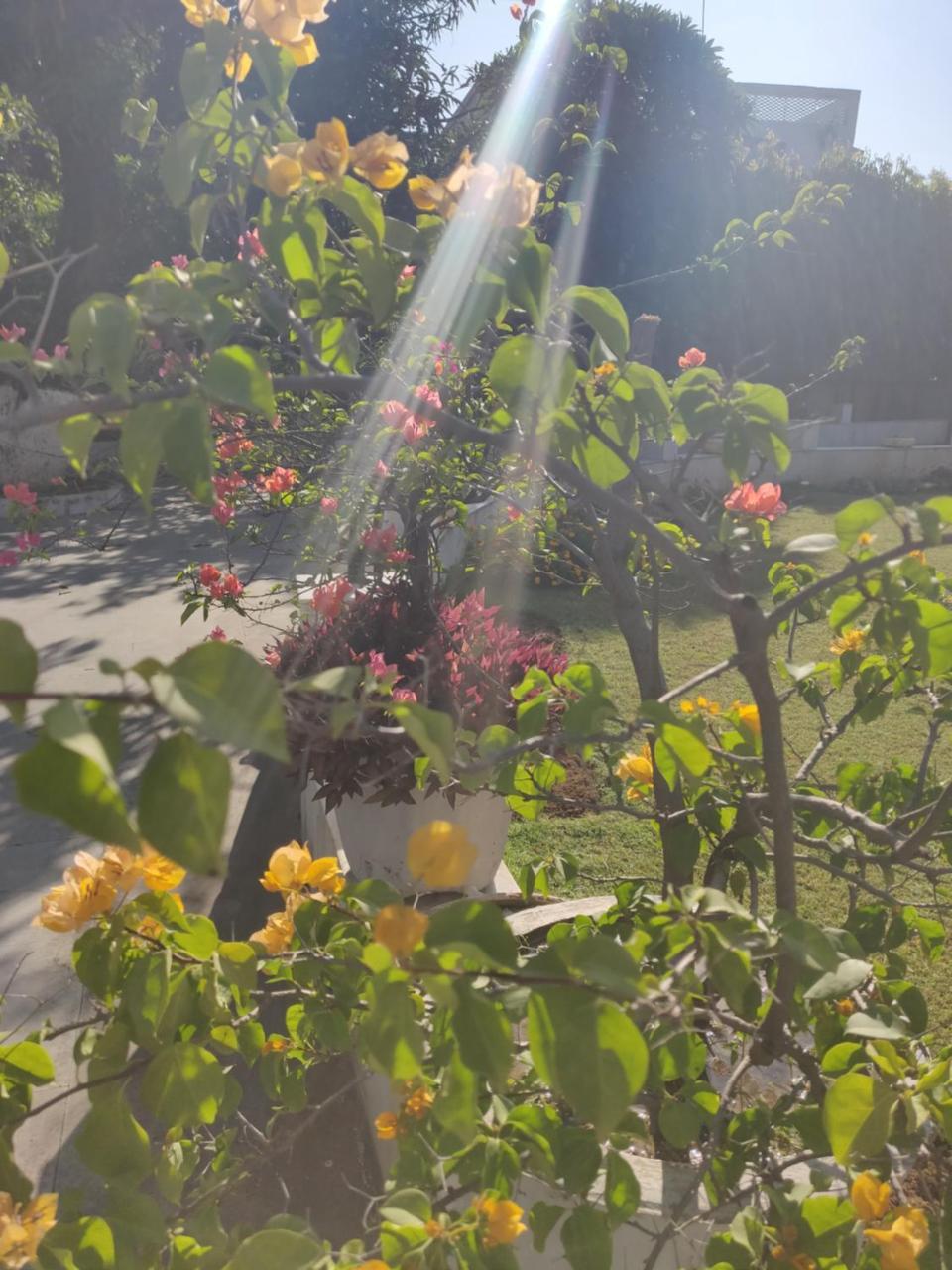 Heritage Homestay 贾姆穆 外观 照片